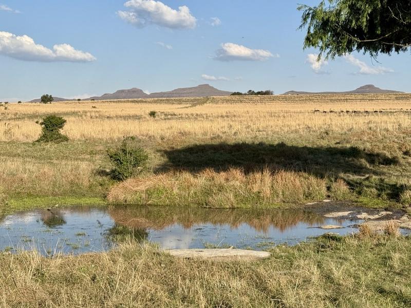 20 Bedroom Property for Sale in Paul Roux Free State